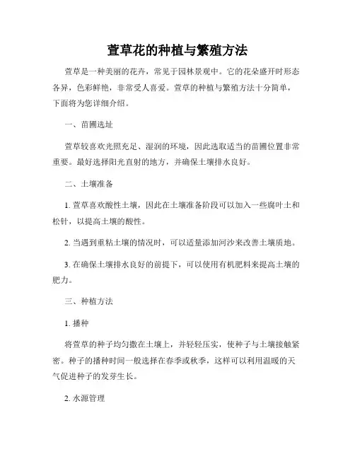 萱草花的种植与繁殖方法