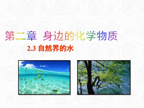 鲁教版八年级化学自然界的水