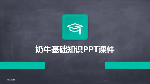 2024版奶牛基础知识PPT课件