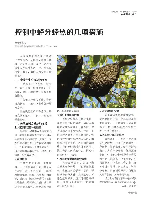 控制中蜂分蜂热的几项措施