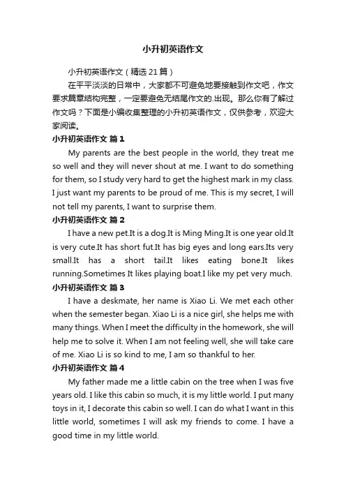 小升初英语作文（精选21篇）