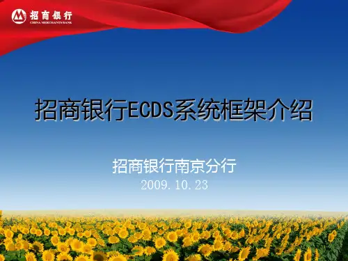 ECDS电子商业承兑汇票系统框架介绍简洁版PPT课件