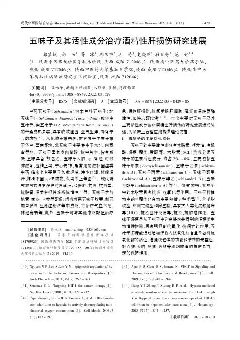 五味子及其活性成分治疗酒精性肝损伤研究进展