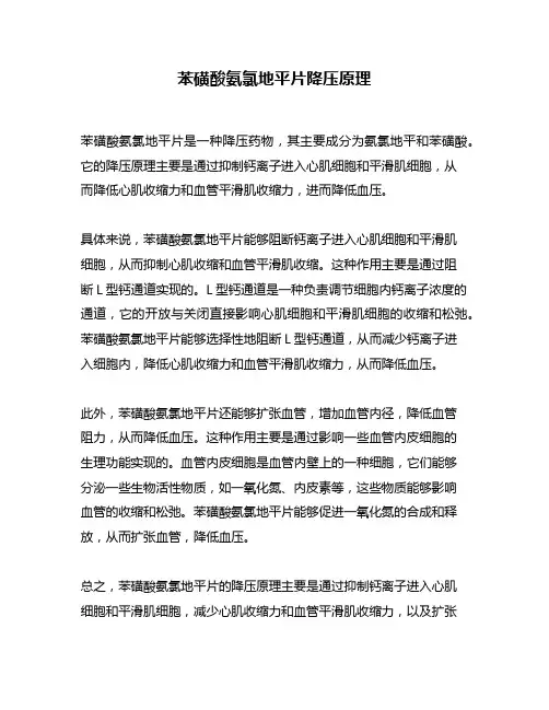 苯磺酸氨氯地平片降压原理