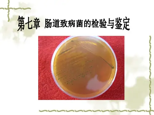 第七章、肠道致病菌的检验与鉴定-食品伙伴网.