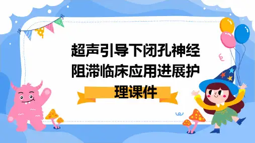 超声引导下闭孔神经阻滞临床应用进展护理课件