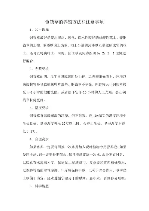 铜钱草的养殖方法和注意事项