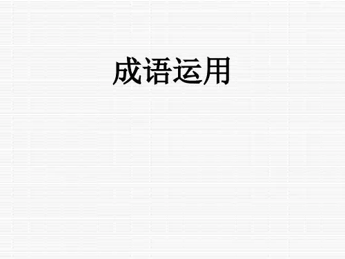 中考复习·成语运用 PPT