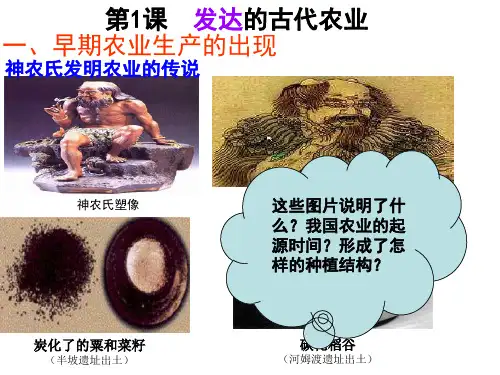 人教版第一课发达的古代农业