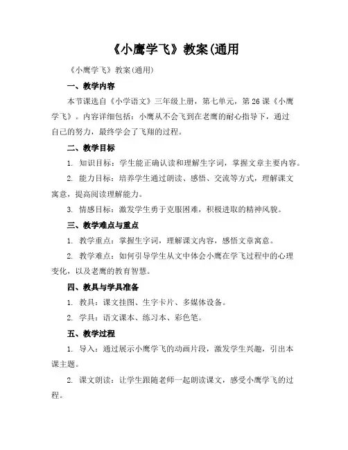 《小鹰学飞》教案