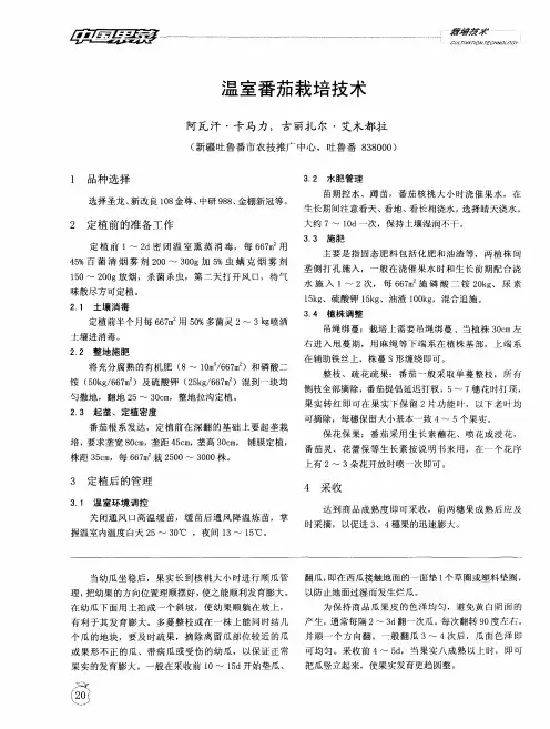 温室番茄栽培技术