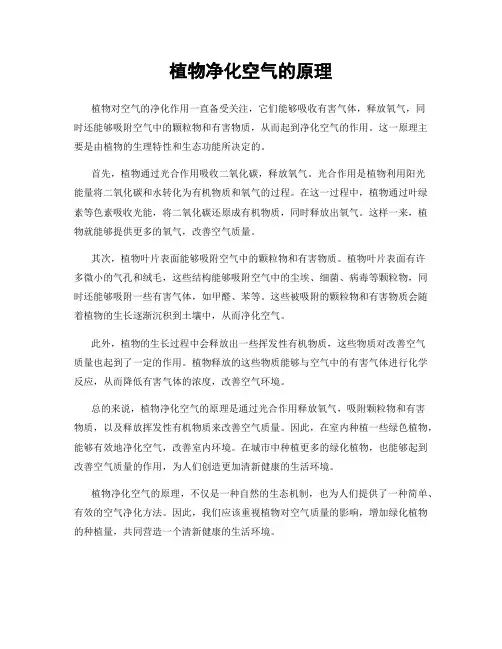 植物净化空气的原理