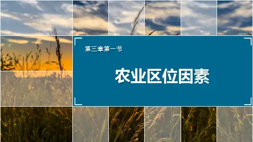 3-1 农业区位因素-高中地理中图版(2019)必修2课件-(45张)
