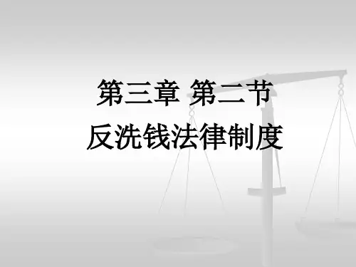 第三章反洗钱法