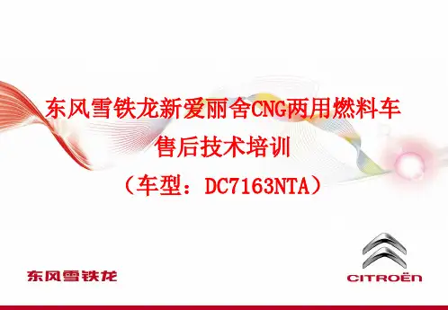 新爱丽舍CNG技术培训
