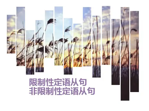 高中英语课件-限制性定语从句和非限制性定语从句的区别