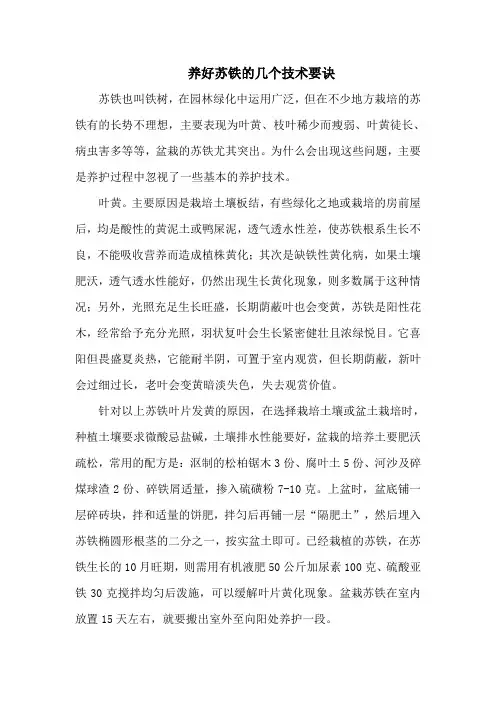 养好苏铁的几个技术要诀