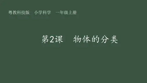 第2课 物体的分类 课件(共13张PPT)