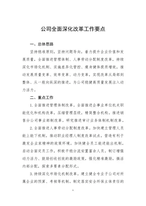 公司全面深化改革工作要点