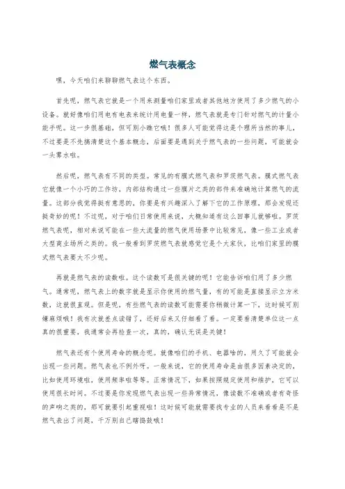 燃气表概念
