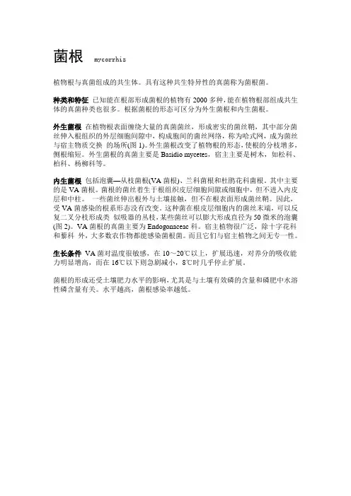菌根