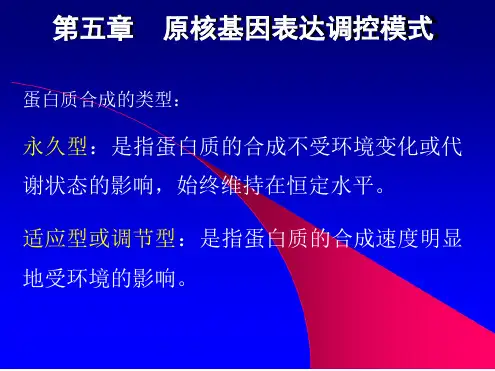 第五章原核生物基因表达调控