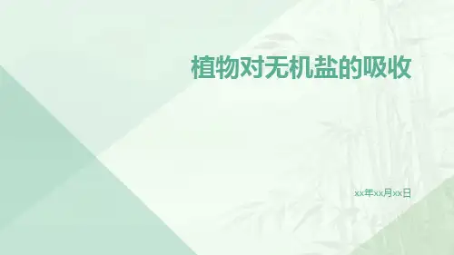 植物对无机盐的吸收