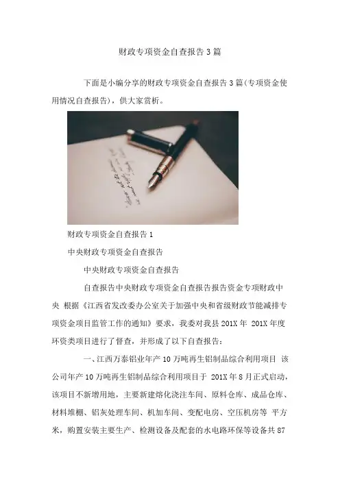 财政专项资金自查报告3篇