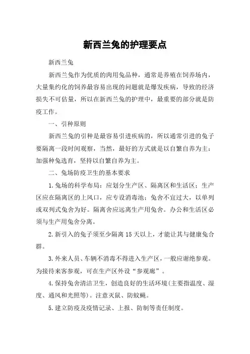 新西兰兔的护理要点