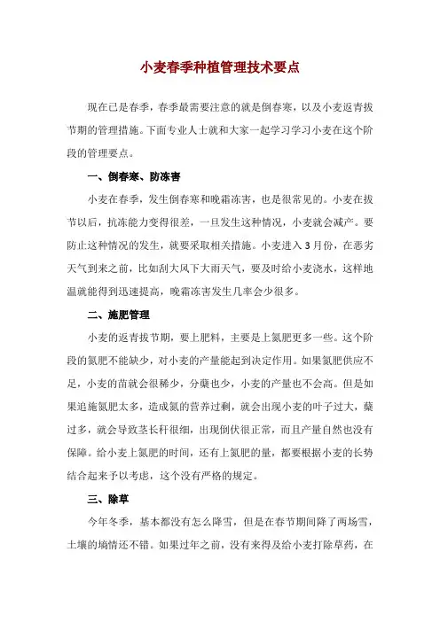 小麦春季种植管理技术要点