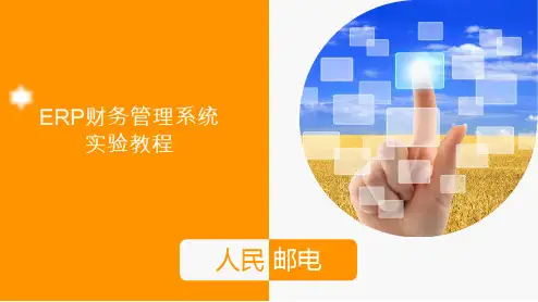 ERP财务管理系统2[34页]