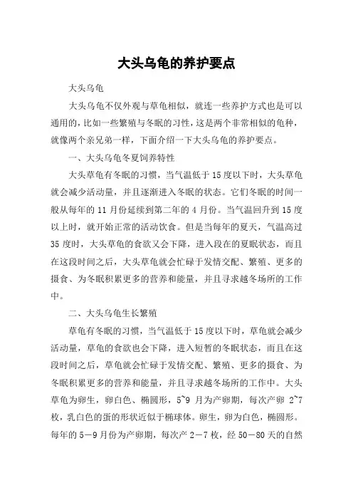 大头乌龟的养护要点