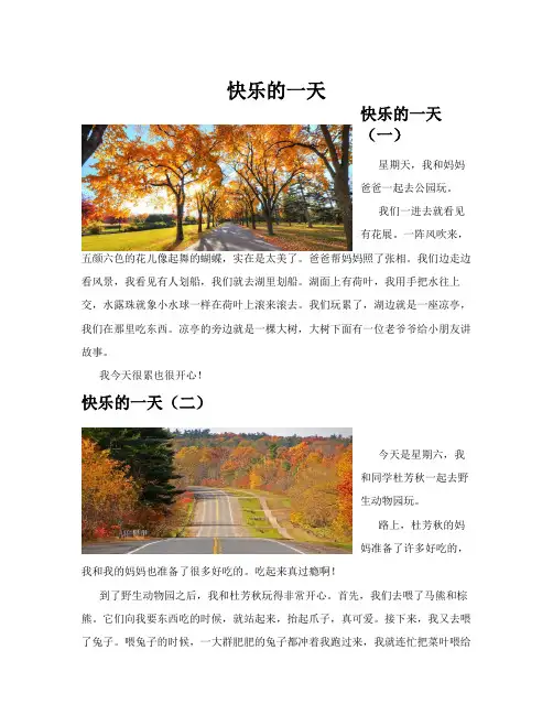 快乐的一天(共10篇)