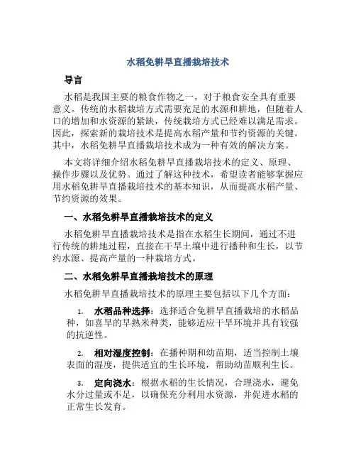 水稻免耕旱直播栽培技术