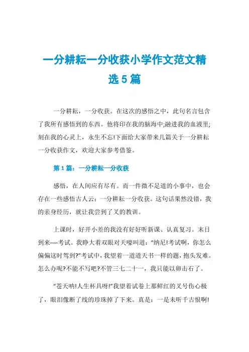 一分耕耘一分收获小学作文范文精选5篇