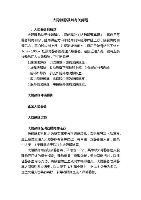 大隐静脉及其有关问题