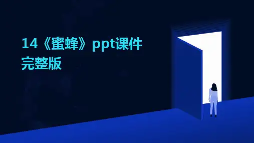 14《蜜蜂》ppt课件完整版
