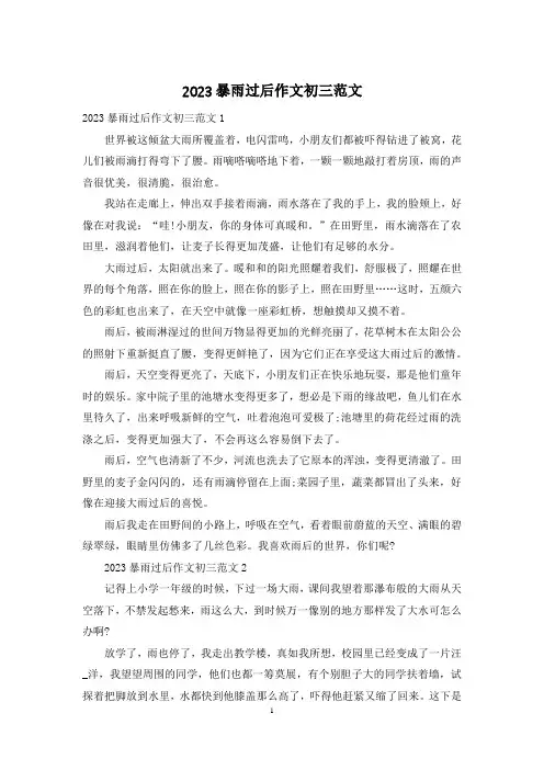 2023暴雨过后作文初三范文