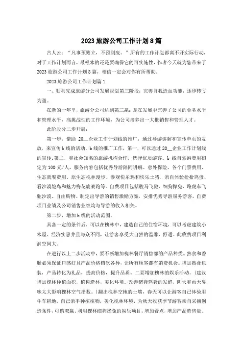 2023旅游公司工作计划8篇