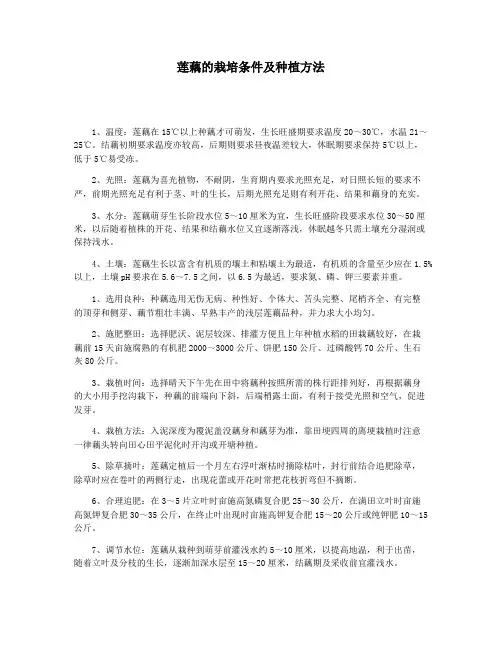 莲藕的栽培条件及种植方法