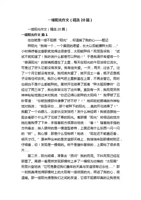一缕阳光作文（精选20篇）
