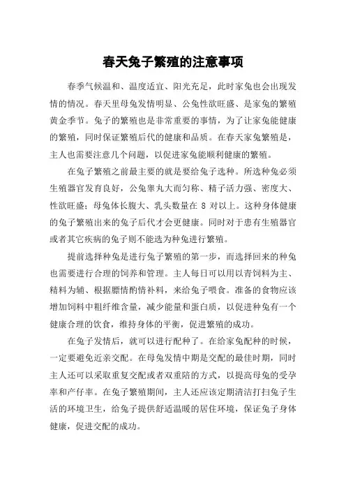 春天兔子繁殖的注意事项