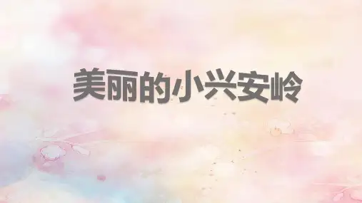 20 美丽的小兴安岭 课件(共21张PPT)