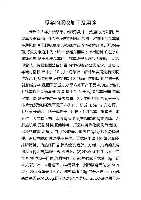 瓜蒌的采收加工及用途