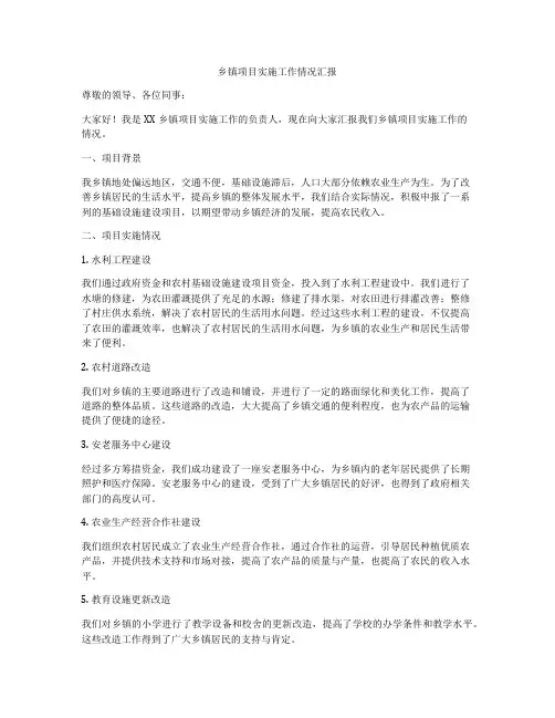 乡镇项目实施工作情况汇报