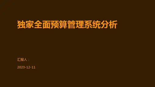 独家全面预算管理系统分析