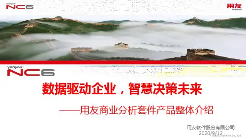 用友BQ8.1商业分析套件FORNC63 - 产品介绍(IT)