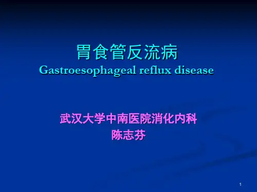 胃食管反流病PPT