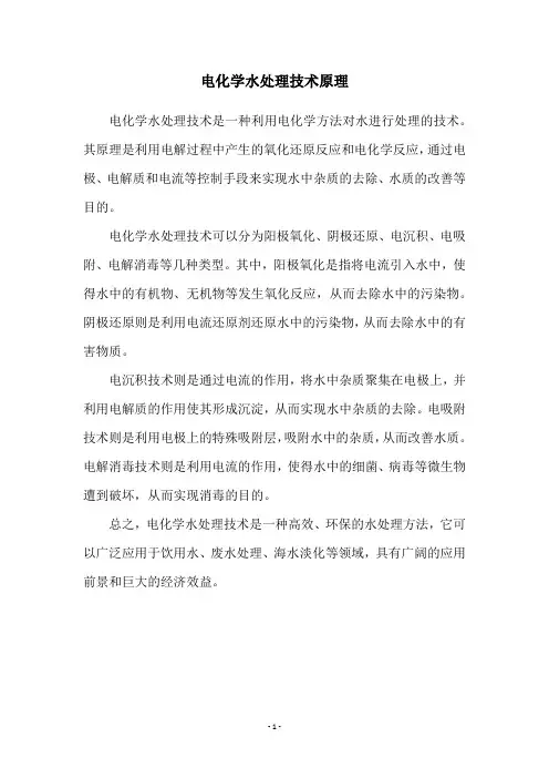 电化学水处理技术原理