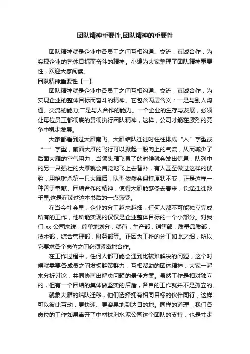 团队精神重要性,团队精神的重要性